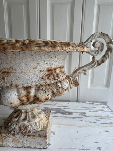Amphore