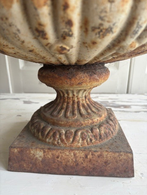 Amphore